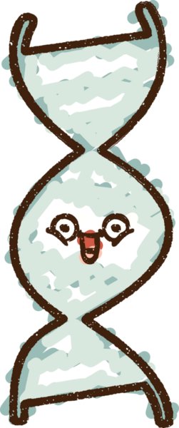 Bir insan tarafından çizilen DNA Tebeşiri