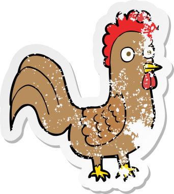 Bir insan tarafından çizilmiş karikatür horozunun gerilmiş yapıştırması.