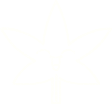 Bir insan tarafından çizilen Yaprak Tebeşiri