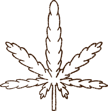 Bir insan tarafından çizilmiş marihuana yaprağı kömürü.