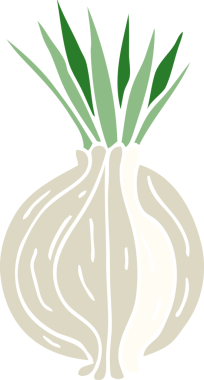 Bir insan tarafından çizilmiş soğan filizlenen karikatür karalaması