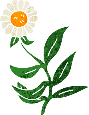 Bir insan tarafından çizilmiş retro illüstrasyon tarzı tuhaf bir papatya çiçeği.