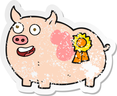 Bir insan tarafından çizilmiş ödül kazanan bir domuzun gerilimli çıkartması.