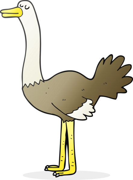 Bir insan tarafından çizilmiş devekuşu çizimi.