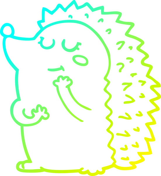 Bir insan tarafından çizilen kirpinin soğuk gradyan çizimi.