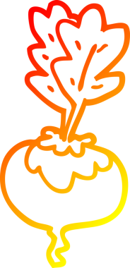 Bir insan tarafından çizilmiş pancar pancarının sıcak çizgi çizimi