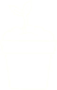 Bir insan tarafından çizilmiş saksı bitkisi tebeşiri.