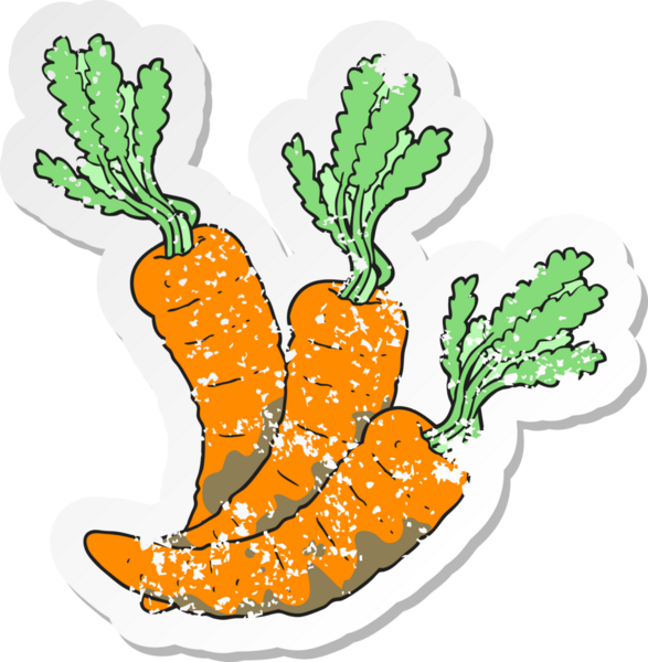 Bir insan tarafından çizilmiş havuç desenli karikatür çıkartması.