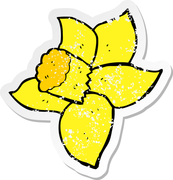 Bir insan tarafından çizilmiş karikatür nergis desenli bir yapıştırma.