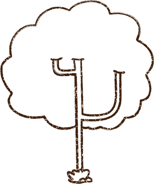 Bir insan tarafından çizilen ağaç kömürü