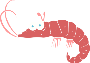 Bir insan tarafından çizilmiş karidesin düz renk çizimi