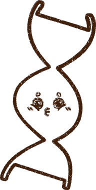 Bir insan tarafından çizilen DNA Strand Kömürü Çizimi
