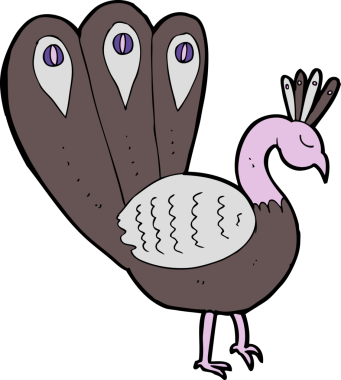 bir insan tarafından çizilmiş bir tavus kuşu.