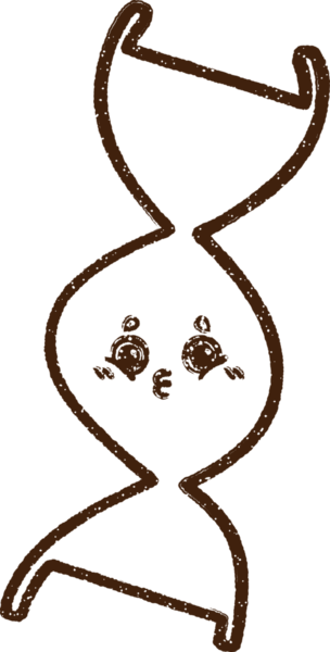 Bir insan tarafından çizilen DNA Strand Kömürü Çizimi