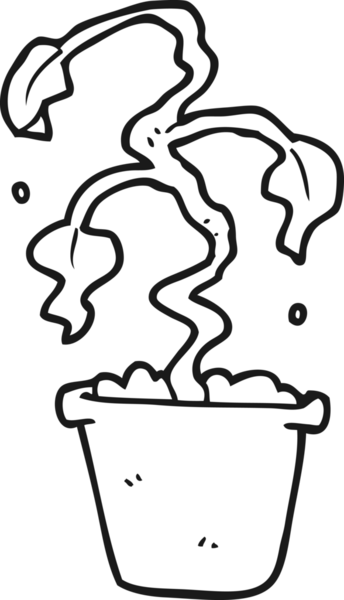 Bir insan tarafından çizilmiş siyah beyaz çizgi film ölü ev bitkisi