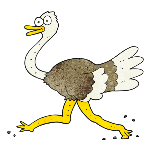 Bir insan tarafından çizilmiş deve kuşu desenli desenli deve kuşu.