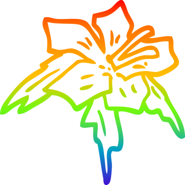 gökkuşağı gradyan çizgi çizimi bir insan tarafından çizilmiş zambak zambak