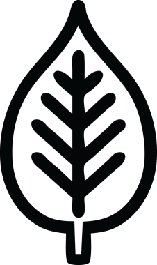 Bir insan tarafından çizilmiş doğal yaprak simgesi