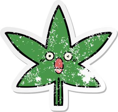 Bir insan tarafından çizilmiş marihuana yaprağının sıkıntılı çıkartması.