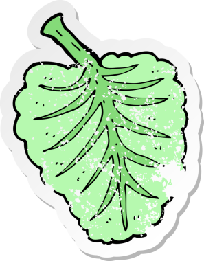 Bir insan tarafından çizilmiş bir çizgi film yaprak sembolünün gerilimli yapıştırması.