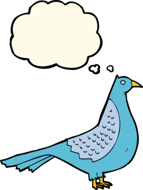 Bir insan tarafından çizilmiş düşünce baloncuklu çizgi film kuşu.