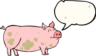 Bir insan tarafından çizilmiş serbest konuşma balonu çizgi filmi çamurlu domuz.