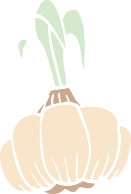 Bir insan tarafından çizilmiş sarımsak filizlenen karikatür.