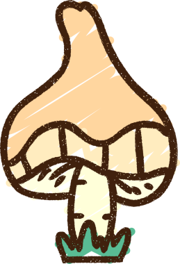 Bir insan tarafından çizilmiş mantar tebeşiri.