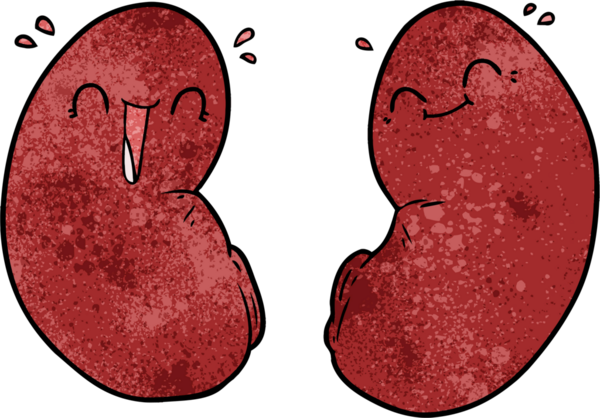 Bir insan tarafından çizilmiş mutlu böbrekler.