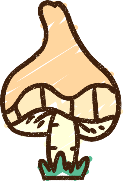 Bir insan tarafından çizilmiş mantar tebeşiri.