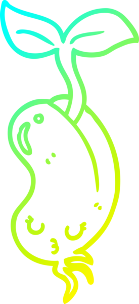 Bir insan tarafından çizilmiş bir çizgi film filizlenen fasulyenin soğuk eğimli çizimi.