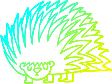 Bir insan tarafından çizilen sivri uçlu kirpinin soğuk gradyan çizimi.