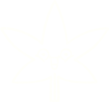 Bir insan tarafından çizilen Yaprak Tebeşiri