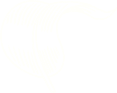 Bir insan tarafından çizilen Yaprak Tebeşiri