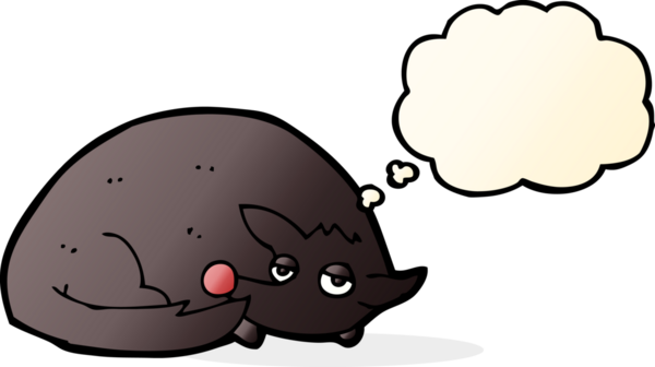 Bir insan tarafından çizilmiş düşünce balonuyla kıvrılmış bir köpek.