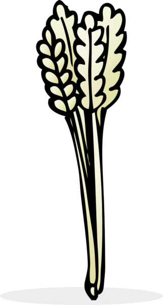 bir insan tarafından çizilmiş karikatür samanı