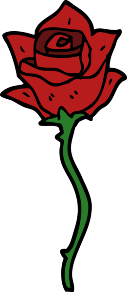 Bir insan tarafından çizilmiş kırmızı gül.