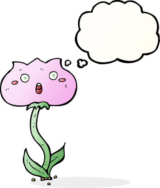 Bir insan tarafından çizilmiş düşünce baloncuğuyla şok olmuş bir çiçek.