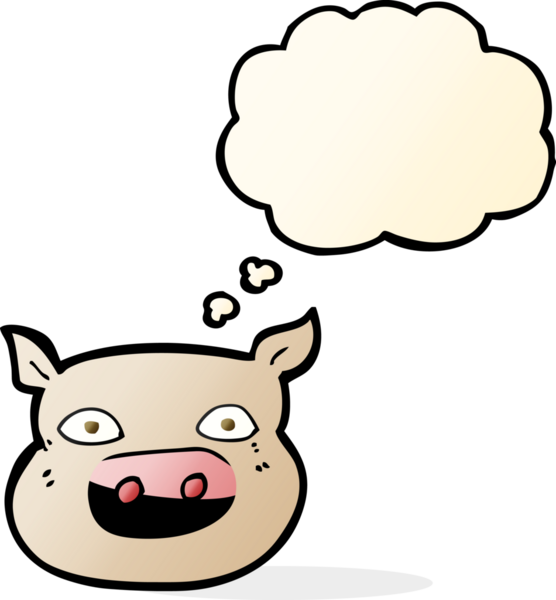 Bir insan tarafından çizilmiş düşünce baloncuğu olan domuz suratlı çizgi film.