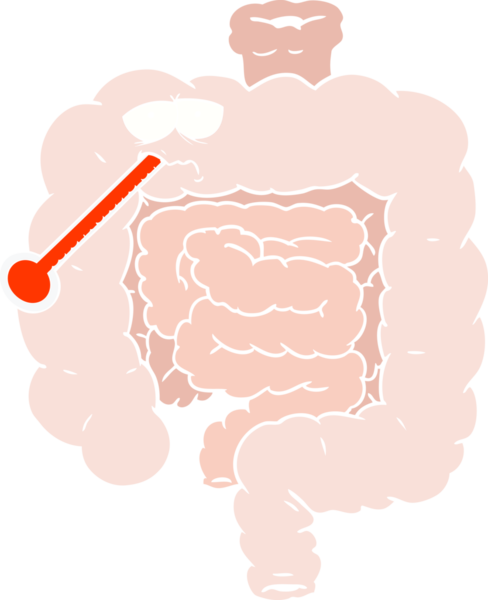 Düz renkli karikatür. İnsan tarafından çizilmiş sağlıksız bağırsaklar.