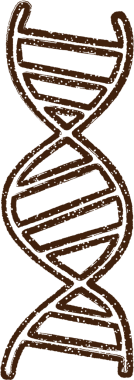 Bir insan tarafından çizilen DNA Strand Kömürü Çizimi