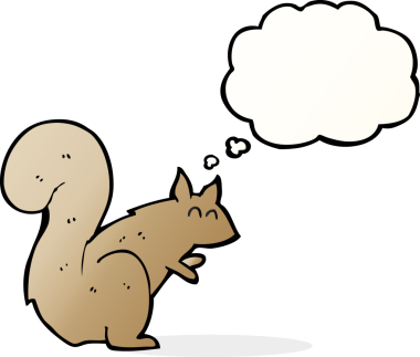 Bir insan tarafından çizilmiş düşünce baloncuklu bir sincap.