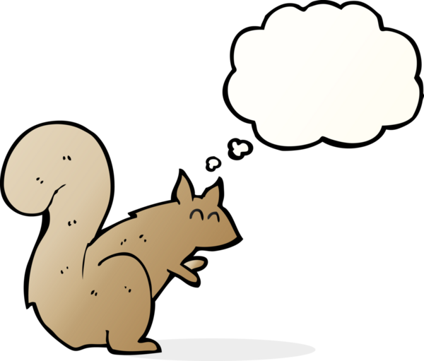 Bir insan tarafından çizilmiş düşünce baloncuklu bir sincap.