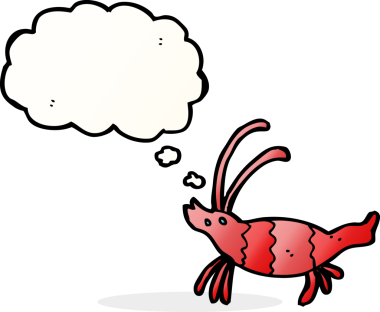 Bir insan tarafından çizilmiş düşünce baloncuklu karides.