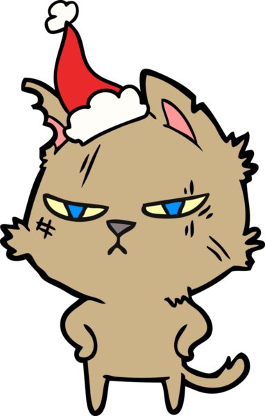 Bir insan tarafından çizilmiş Noel Baba şapkası takan bir kedi çizilmiş.