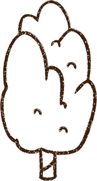 Bir insan tarafından çizilen ağaç kömürü