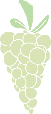 Bir insan tarafından çizilmiş garip bir üzüm demeti.