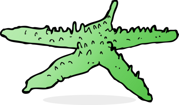 bir insan tarafından çizilmiş bir denizyıldızı.