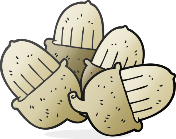 Bir insan tarafından çizilmiş meşe palamutları.