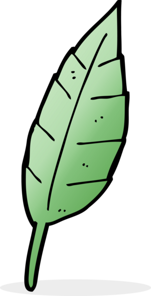 Bir insan tarafından çizilmiş çizgi film yaprağı.